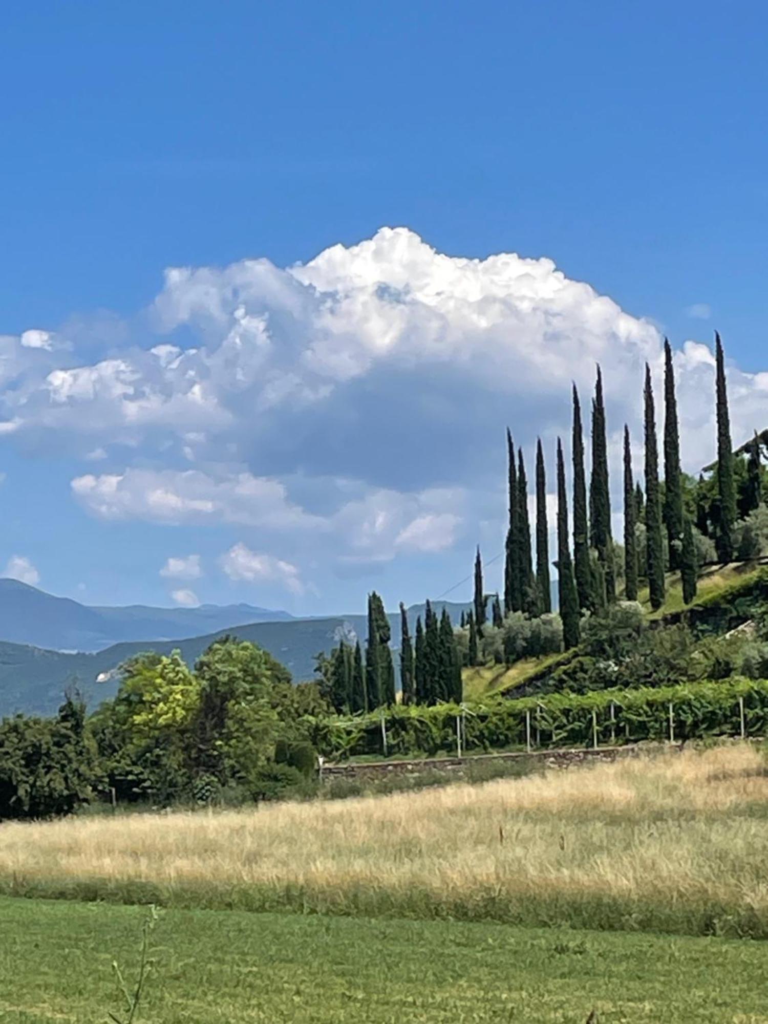 La Casa In Collina Διαμέρισμα Caprino Veronese Εξωτερικό φωτογραφία
