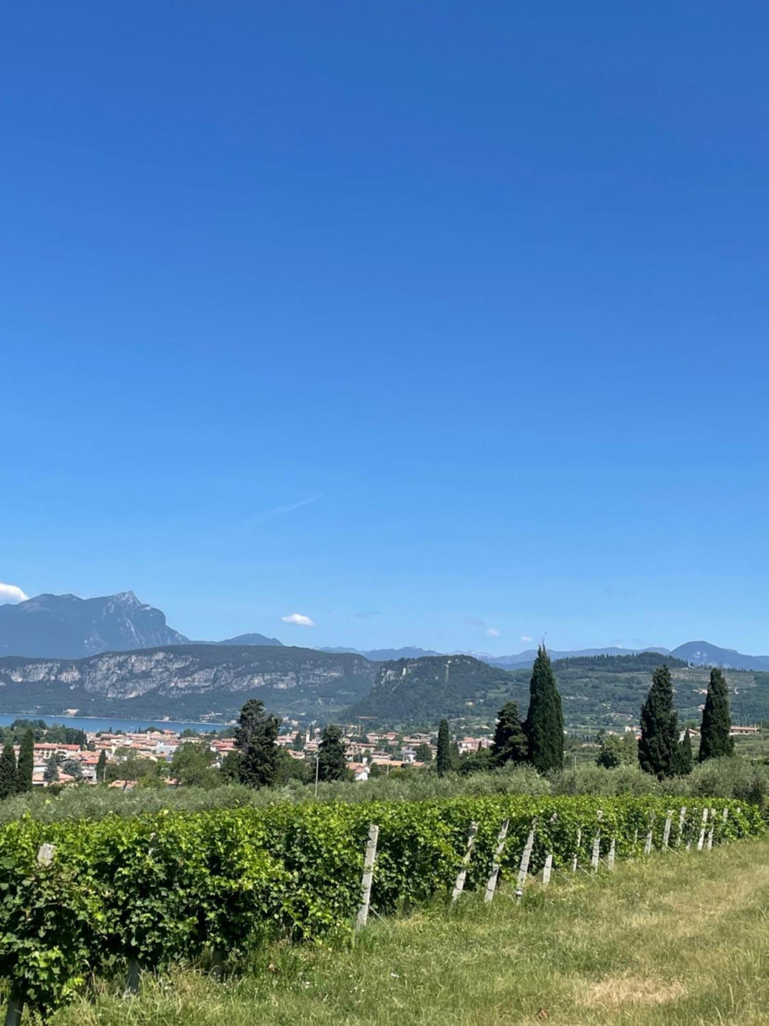 La Casa In Collina Διαμέρισμα Caprino Veronese Εξωτερικό φωτογραφία